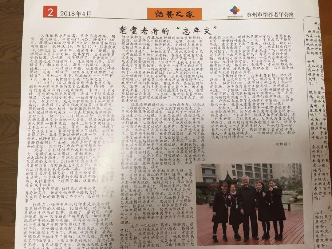 可爱小猫向上跳